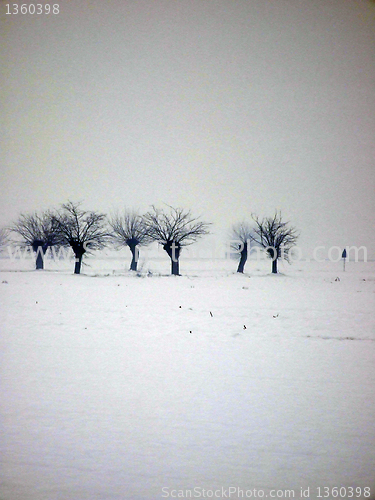Image of Winter
