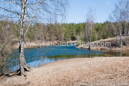 Image of Spring landscape