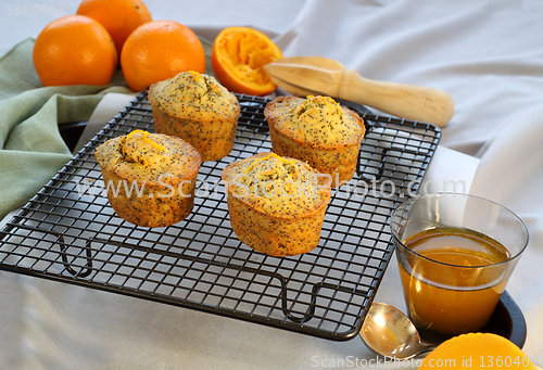 Image of Orange And Poppyseed Cakes 