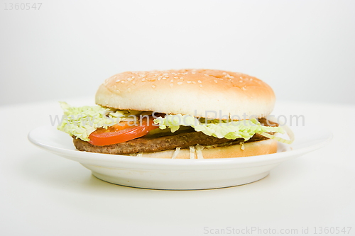 Image of hamburger on a plate