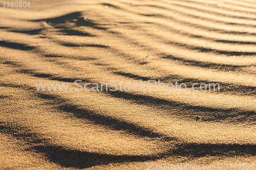 Image of Wavy dune texture