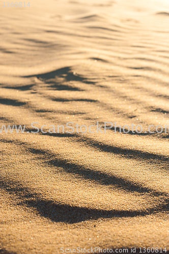 Image of Wavy dune texture