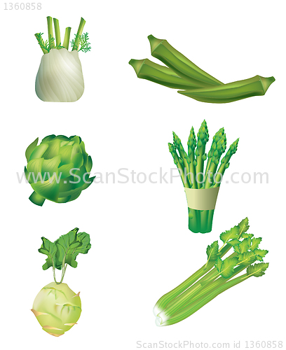 Image of Set of green vegetables