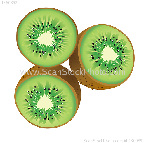 Image of Kiwi
