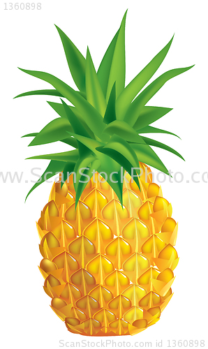 Image of Pineapple