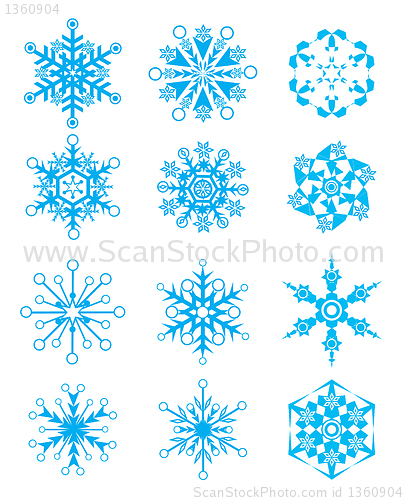 Image of Vector snowflakes