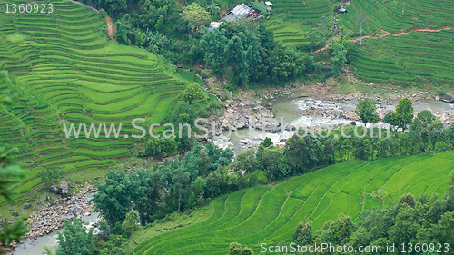 Image of Rice terraces and river in Sapa Valley