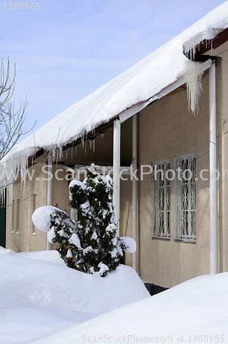 Image of after snowfall