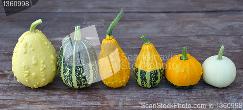 Image of Decorative pumpkin