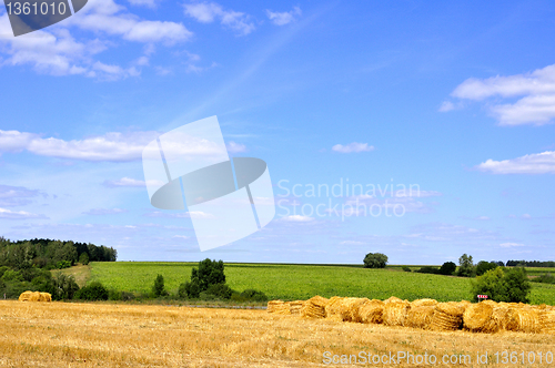 Image of summer landscape