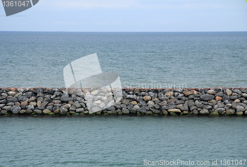 Image of Mole in Denmark.
