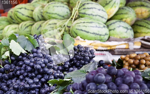 Image of Blue Grapes