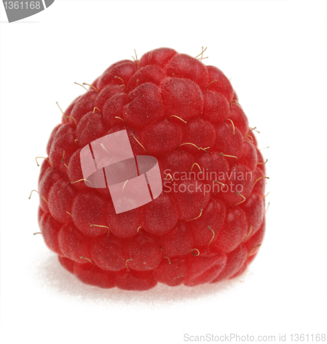 Image of Raspberry