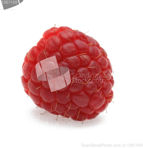 Image of Raspberry
