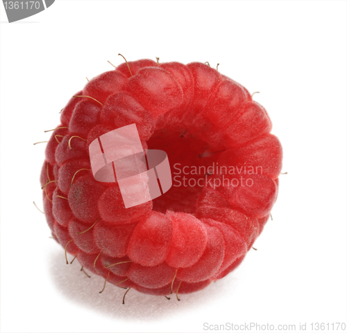 Image of Raspberry