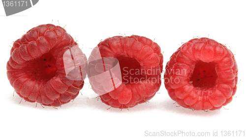 Image of Three raspberries