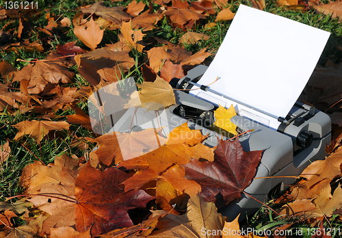 Image of Old Typewriter and Fallen Maple Leaves