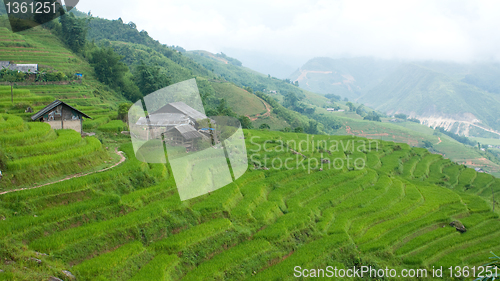Image of Farm with rice terraces in Sapa Vietnam