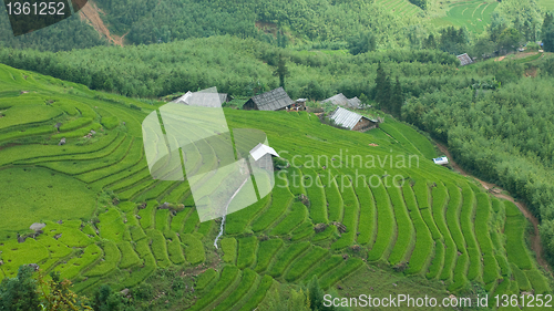 Image of Rice terraces in Sapa Valley, Vietnam