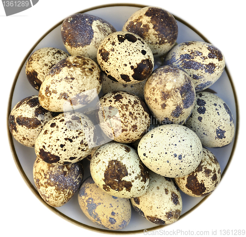 Image of quail eggs