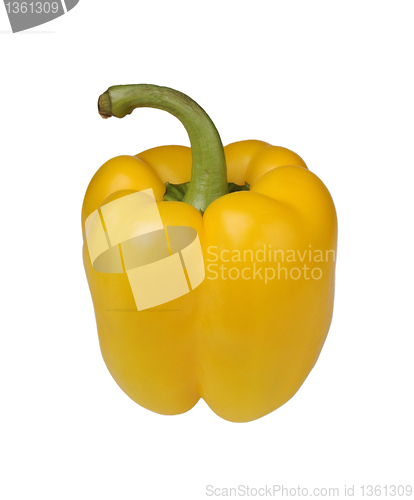 Image of bulgarian pepper