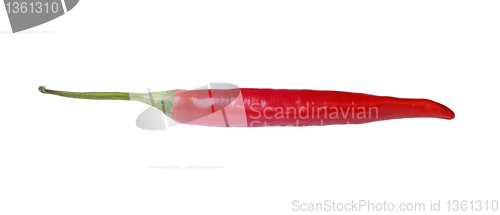 Image of hot pepper