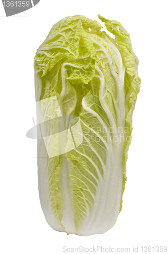 Image of Chinese cabbage