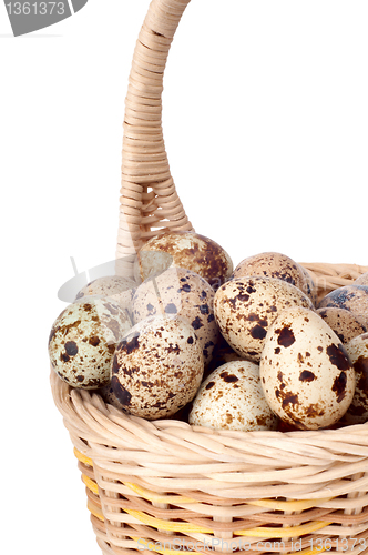 Image of eggs in the basket