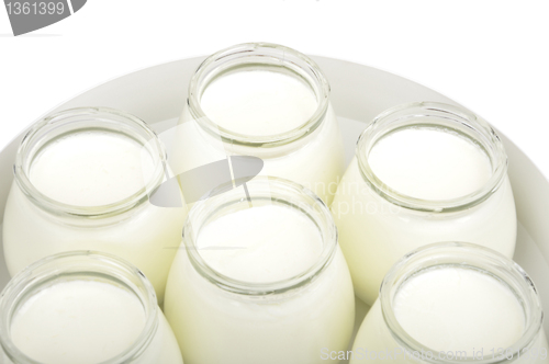 Image of homemade yogurt