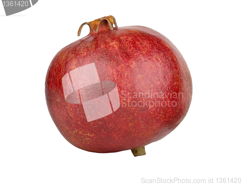 Image of ripe pomegranate