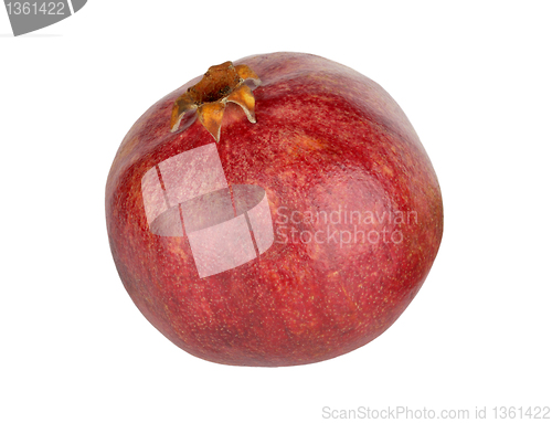 Image of ripe pomegranate