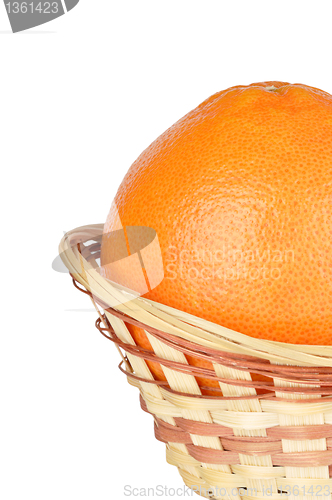 Image of grapefruit in the basket