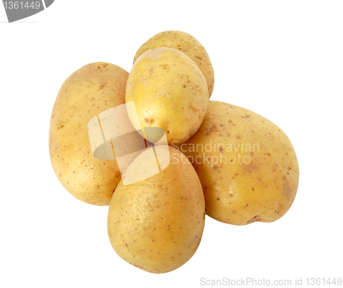 Image of potatoes 