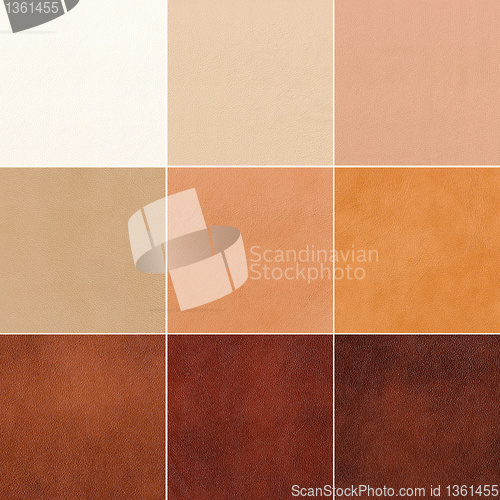 Image of samples of genuine leather