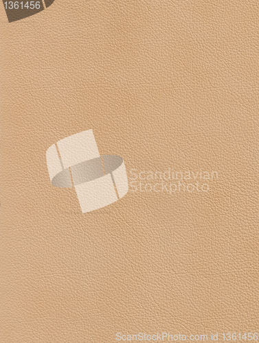 Image of leather