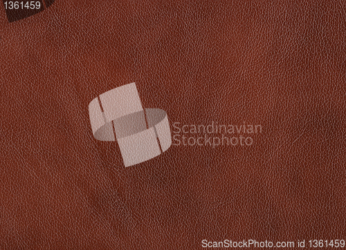 Image of Leather background