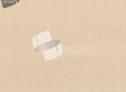 Image of Leather background