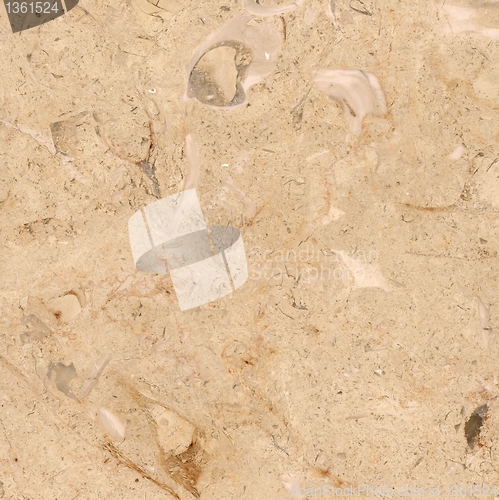 Image of Marble