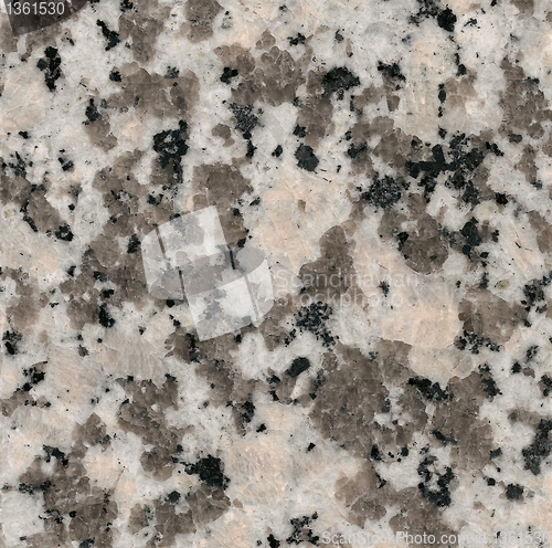 Image of Grey granite