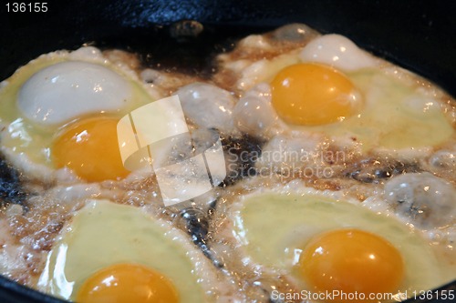 Image of Frying eggs