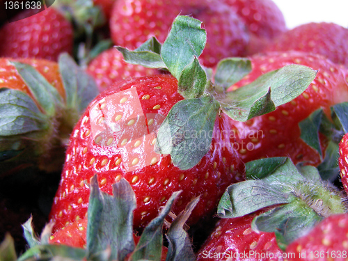 Image of Strawberry