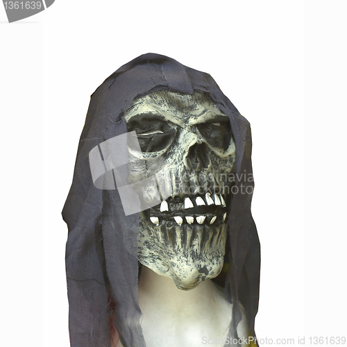 Image of Halloween skull