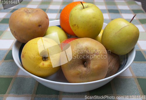 Image of Fruits picture