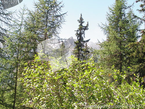 Image of Alps mountains