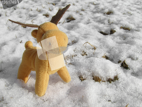 Image of Deer picture