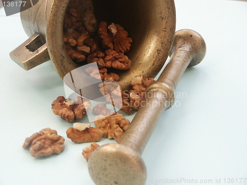 Image of Mortar with walnuts