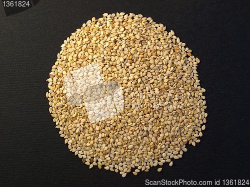 Image of Sesame seeds