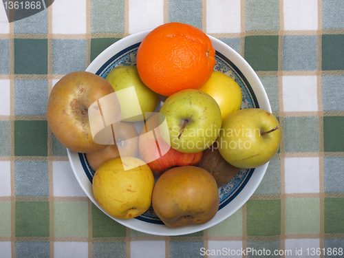 Image of Fruits picture