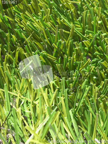 Image of Artificial grass