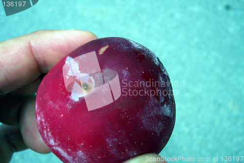 Image of red plum